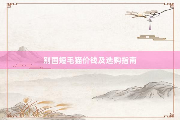 别国短毛猫价钱及选购指南