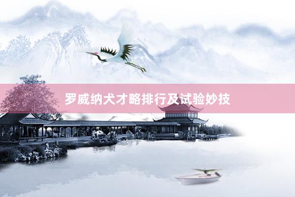 罗威纳犬才略排行及试验妙技
