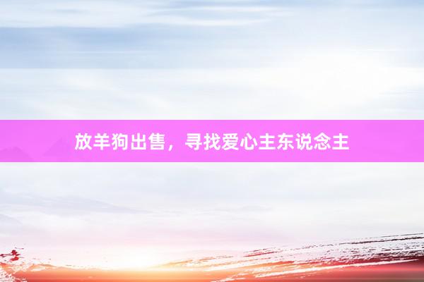 放羊狗出售，寻找爱心主东说念主